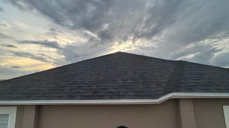 WhatsApp Image 2025-11-06 at 18.24.05 (1)