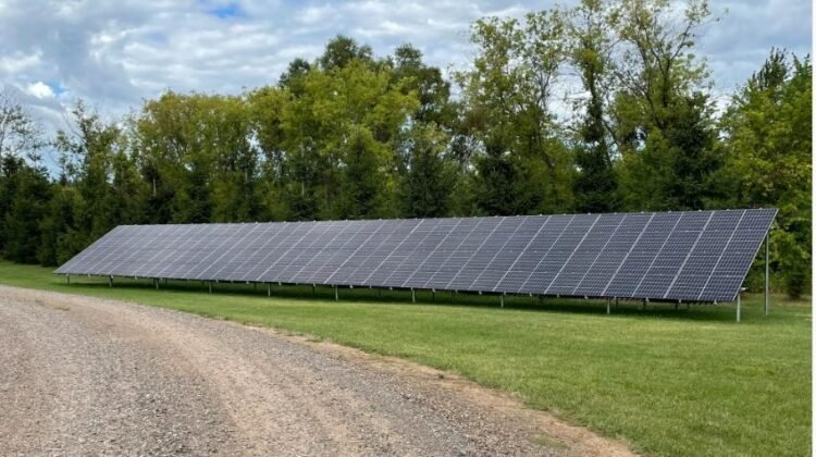 WhatsApp Image 2025-11-06 at 18.24.50 (2)